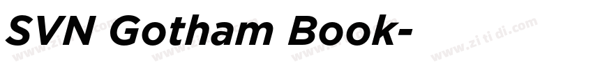SVN Gotham Book字体转换